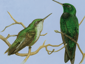 Screenshot 2015-08-12 at 10.00.20 AM